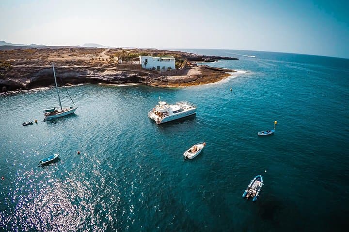 Tour en catamarán al atardecer por Tenerife - Comida y bebidas incluidas - 4