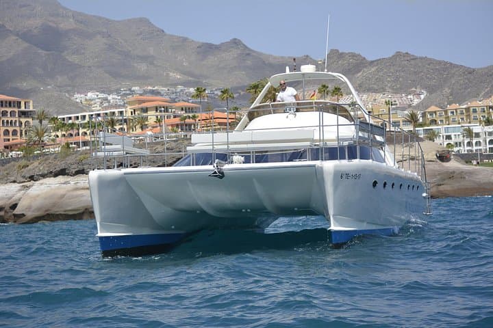 Alquiler de Catamarán Privado con Transfer, Buffet y Snorkeling - 8