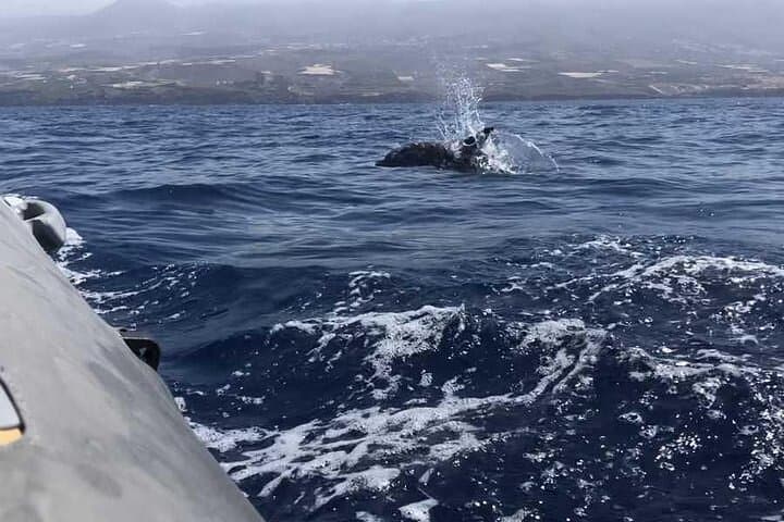 Experiencia dinámica - 5