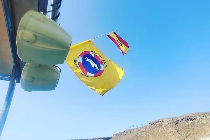 Experiencia dinámica - 7