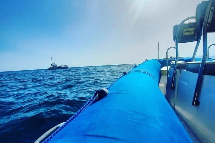 Experiencia dinámica - 8