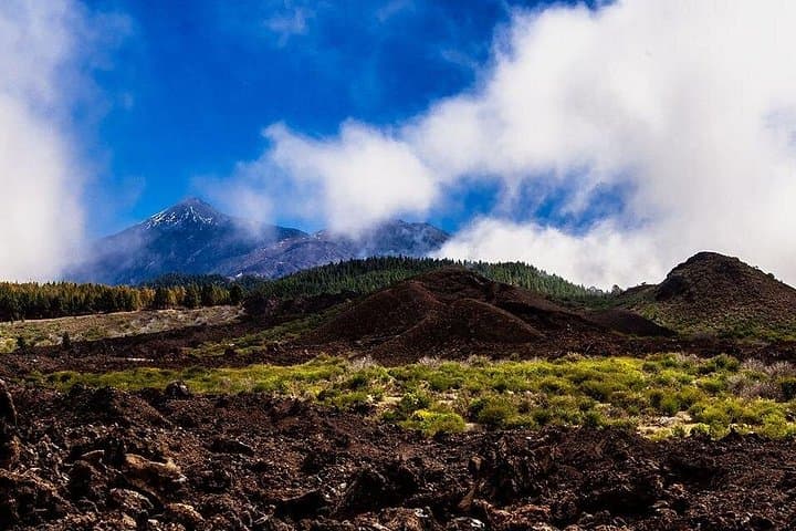 Ruta de los almendros en flor de día completo en Tenerife - 4