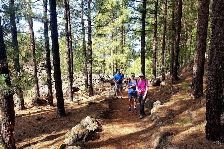 Ruta de los almendros en flor de día completo en Tenerife - 7