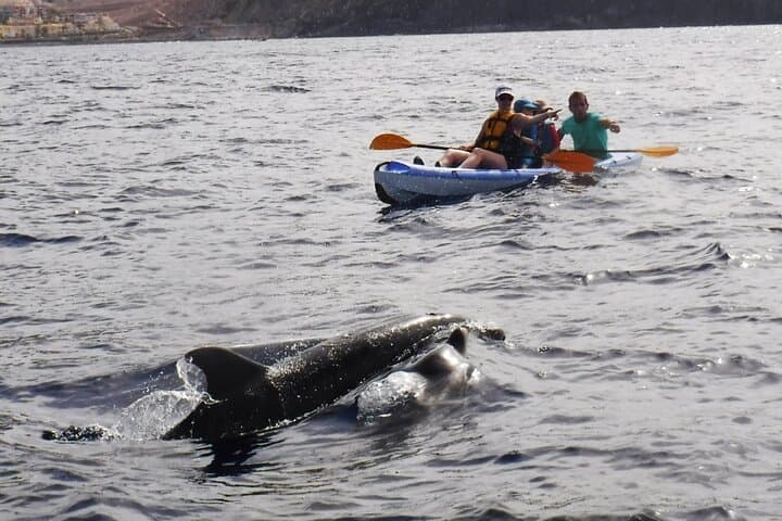 Ruta en Kayak por Costa Volcánica en Tenerife Sur con Esnórquel - 6