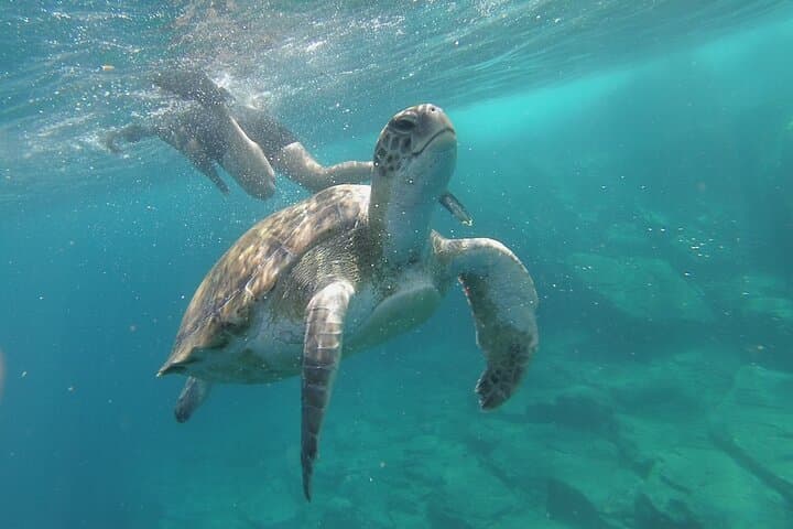 Ruta en Kayak por Costa Volcánica en Tenerife Sur con Esnórquel - 5