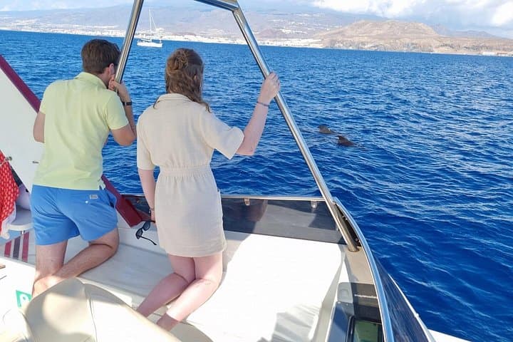 Tenerife Excursión en Ecoyate para Avistamiento de Ballenas - 7