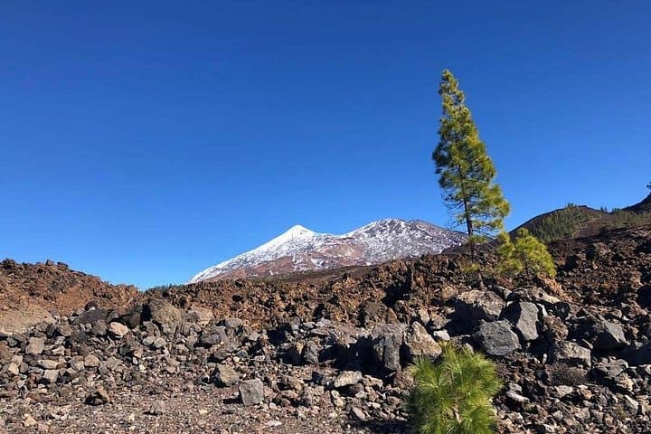 Tour Guiado al Teide y Roques de García, con Teleférico Opcional. - 6