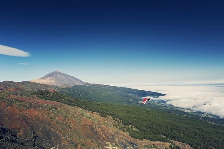 Tour Guiado al Teide y Roques de García, con Teleférico Opcional. - 7