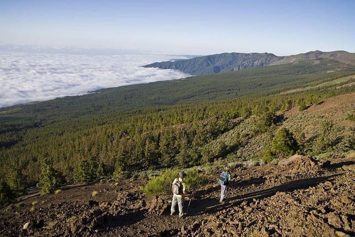Tour Guiado al Teide y Roques de García, con Teleférico Opcional. - 8