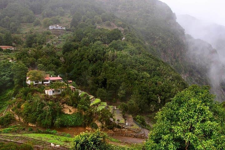 Recorrido Guiado de Día Completo a La Gomera desde Tenerife - 5