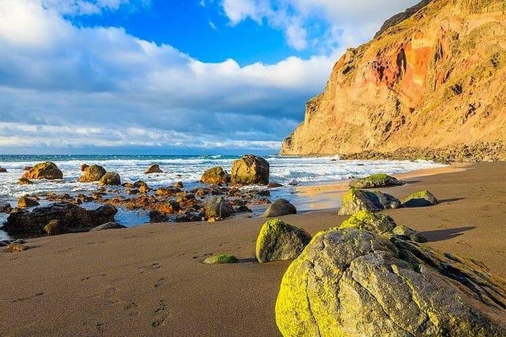 Recorrido Guiado de Día Completo a La Gomera desde Tenerife - 6