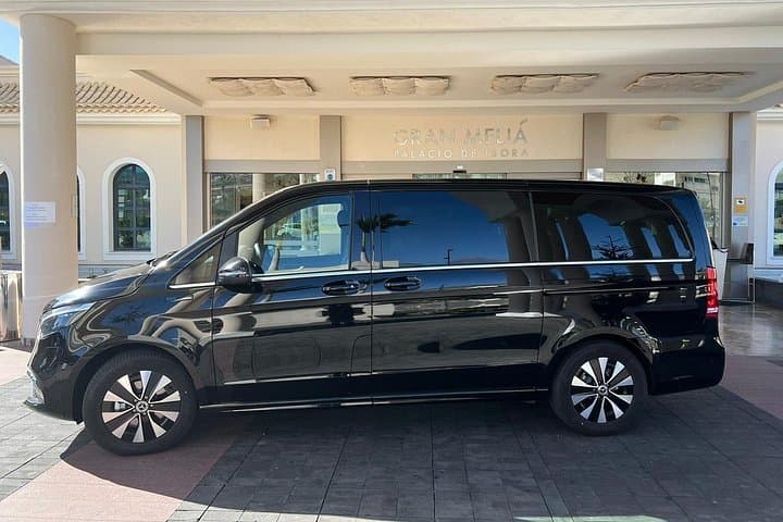 Alquiler 8 Horas en Coche de Lujo y Conductor/guía oficial Privado en Tenerife - 1