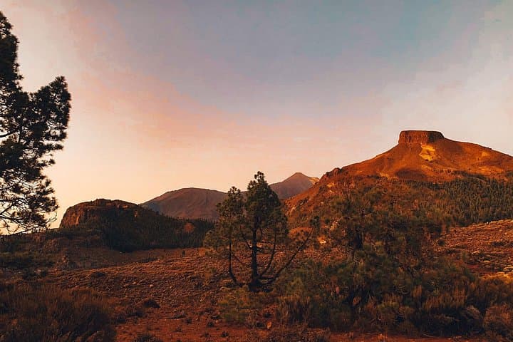 Tenerife Norte: Teide, Icod, Garachico y Masca - Guía incluido - 5