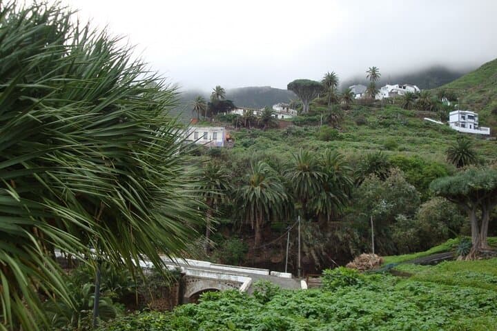 Tenerife: Santa Cruz, Anaga y La Laguna con guía incluido - 6