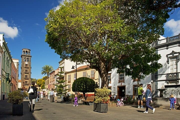 Tenerife: Santa Cruz, Anaga y La Laguna con guía incluido - 7