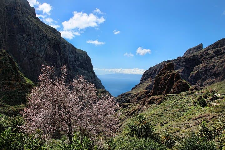 Impresionante Volcán Teide de Roques de García - 8