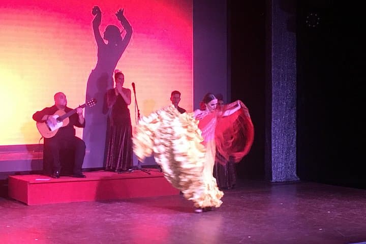 Espectáculo de Flamenco en el teatro Coliseo de San Miguel - 4