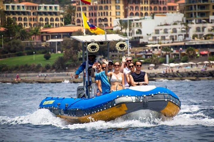 SEA SAFARI, Delfines, Ballenas, snorkel, snack y bebida, 2 h lancha rápida - 5