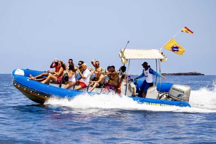 SEA SAFARI, Delfines, Ballenas, snorkel, snack y bebida, 2 h lancha rápida - 2