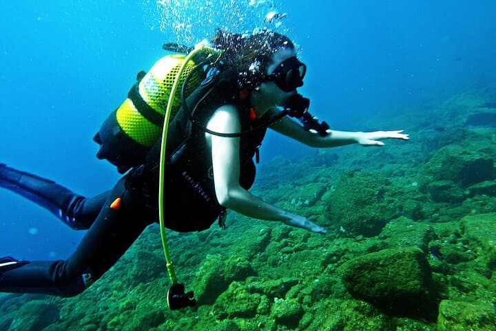 Descubre el buceo - 8
