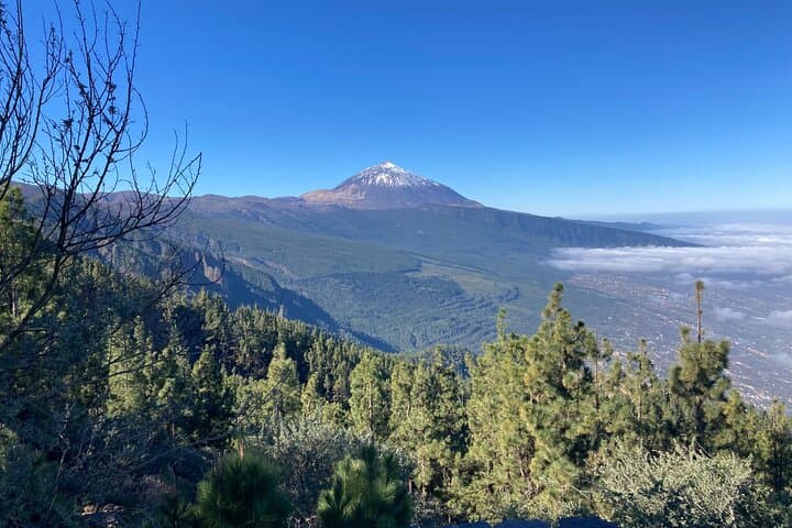 Tour Privado al Parque Nacional del Teide Minimo 3 persons - 6