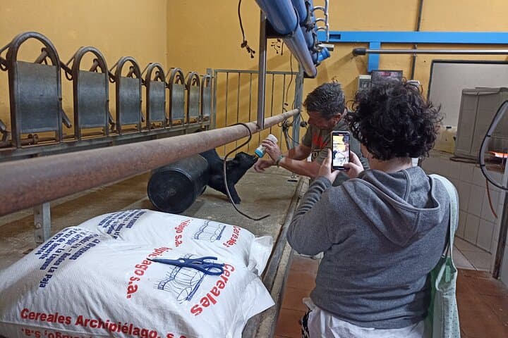 https://media-cdn.tripadvisor.com/media/atracciones-splice-spp-720x480/0f/66/e3/2f.jpg - 7