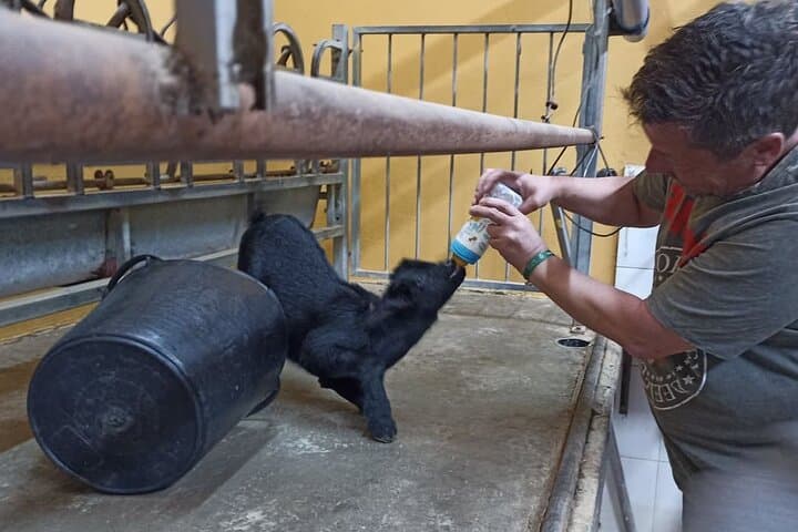 https://media-cdn.tripadvisor.com/media/atracciones-splice-spp-720x480/0f/66/e3/2f.jpg - 2