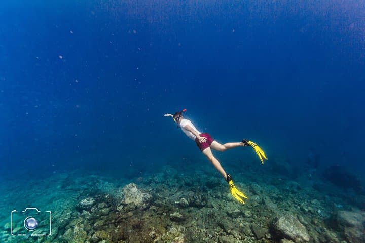 Medio día Mermaiding y Freediving en Tenerife - 4