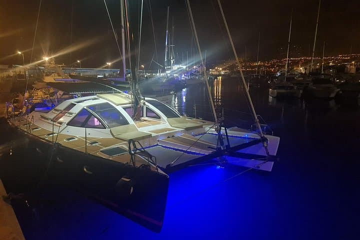 Avistamiento de ballenas en Tenerife. Barco White Tenerife. - 7