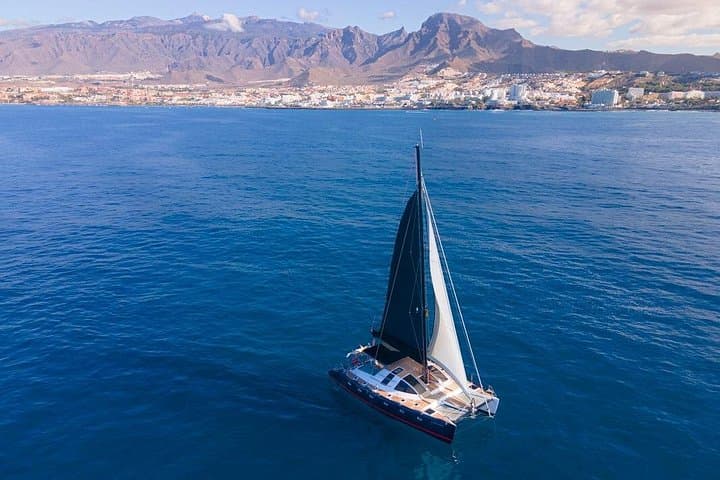 Avistamiento de ballenas en Tenerife. Barco White Tenerife. - 4