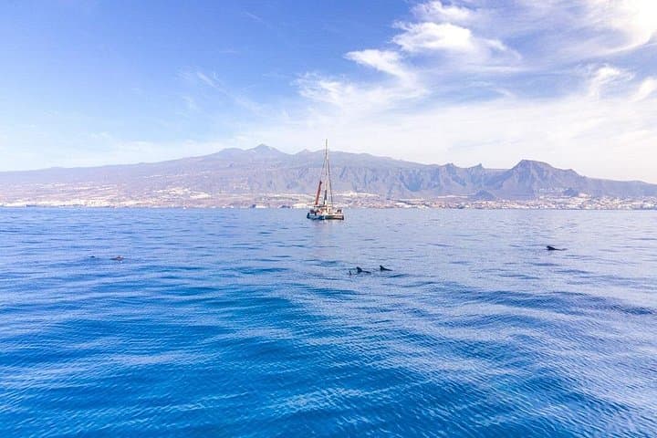 Eco catamarán con paneles solares - 7