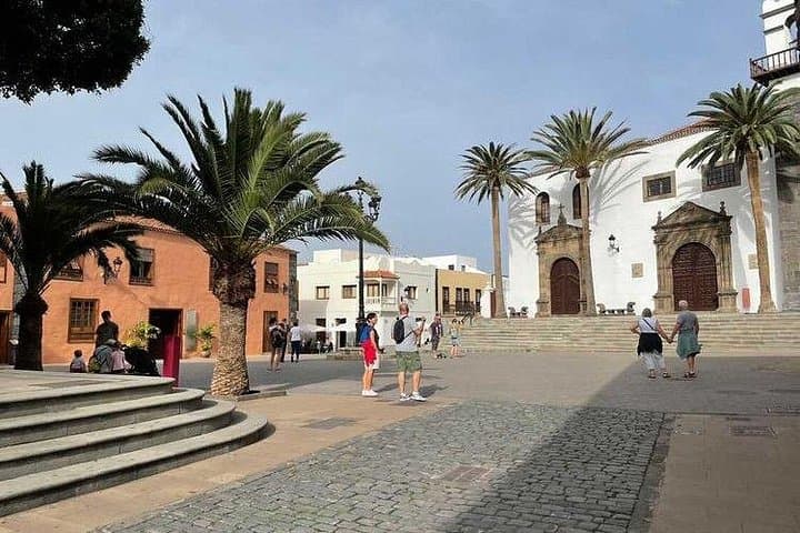 Tour Privado los Gigantes Masca Garachico de Icod de los Vinos - 4