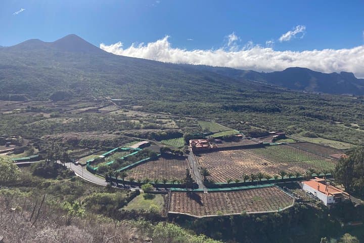 Tour Privado los Gigantes Masca Garachico de Icod de los Vinos - 6