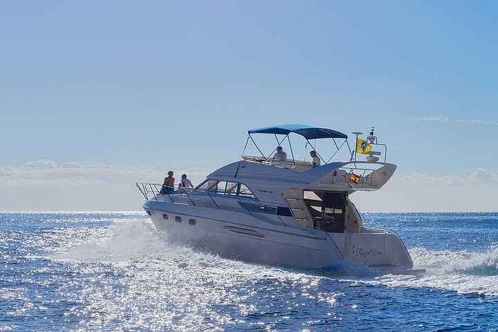 Excursión Ballenas y Delfines en Yate de Lujo en Islas Canarias - 5