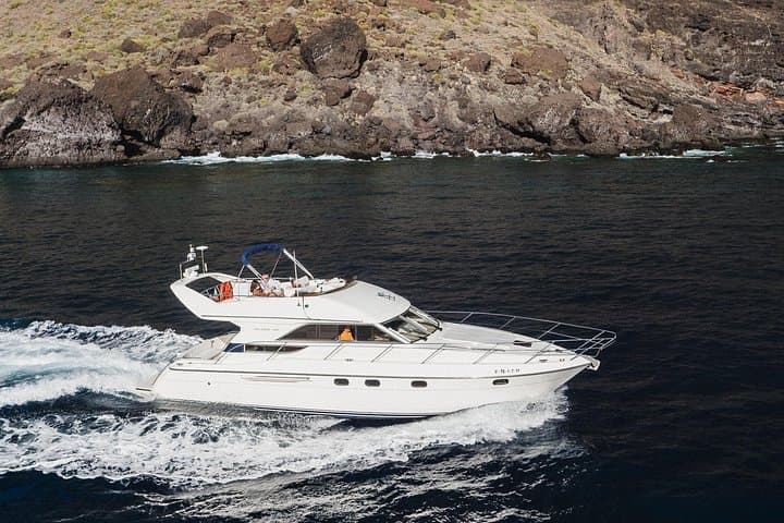 Excursión Ballenas y Delfines en Yate de Lujo en Islas Canarias - 6