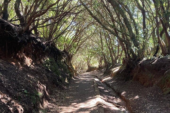 Tour de Aventura Privado en Tenerife Anaga Mínimo 3 personas - 2