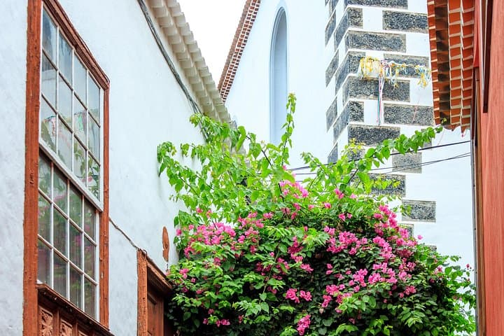 Secretos del Noroeste de Tenerife - 3