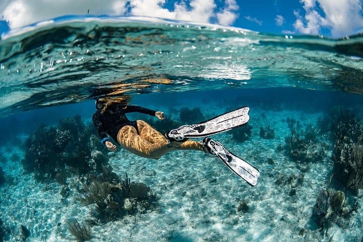 Alquiler de Snorkel 24h, ¡descubre el Océano por ti mismo! - 2
