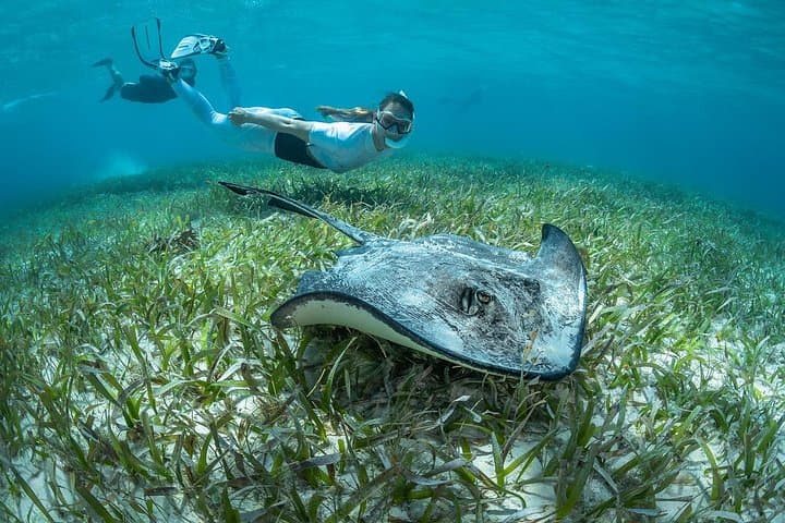 Alquiler de Snorkel 24h, ¡descubre el Océano por ti mismo! - 3