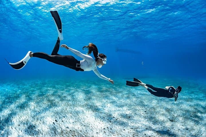Alquiler de Snorkel 24h, ¡descubre el Océano por ti mismo! - 7
