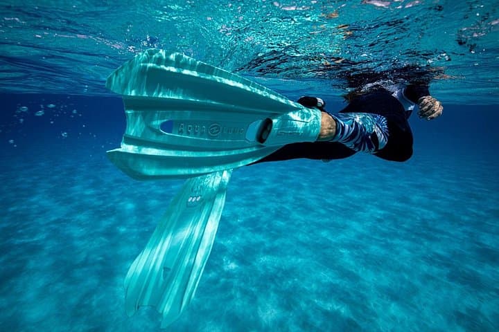 Alquiler de Snorkel 24h, ¡descubre el Océano por ti mismo! - 8
