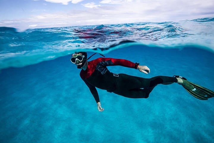 Alquiler de Snorkel 24h, ¡descubre el Océano por ti mismo! - 6