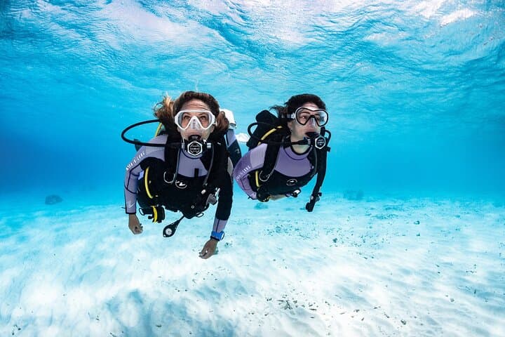 Bautismo de buceo - PADI Discover Scuba Diving en Tenerife - 2
