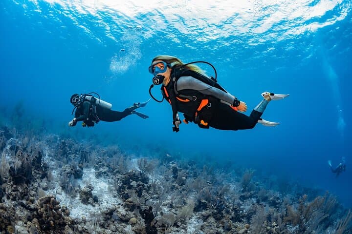 Bautismo de buceo - PADI Discover Scuba Diving en Tenerife - 4