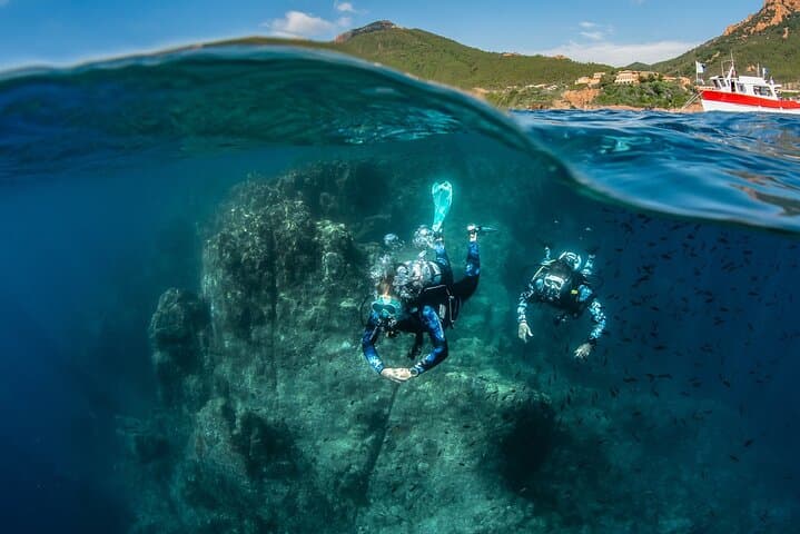 Buceo guiado en Tenerife (para buceadores certificados) - 4