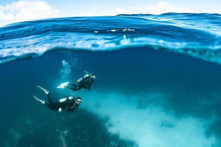 Buceo guiado en Tenerife (para buceadores certificados) - 2