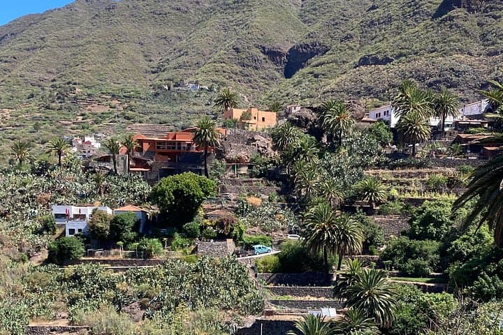 Tour Privado los Gigantes Masca Garachico de Icod de los Vinos - 8