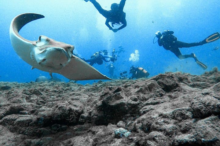 Me encanta el buceo - 6