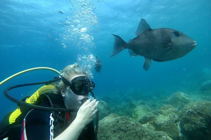 Descubre el buceo - 5
