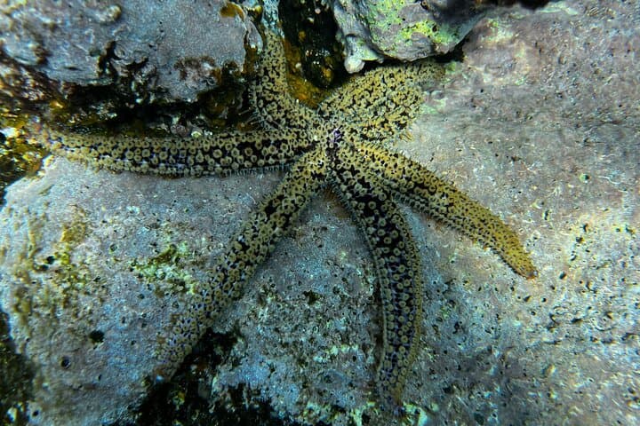 Descubre el buceo - 4